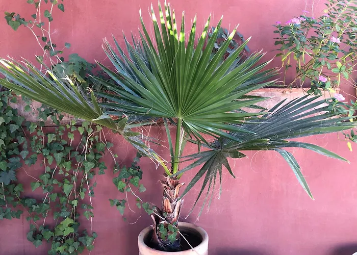 Riad Al Mamoune Marrakesh